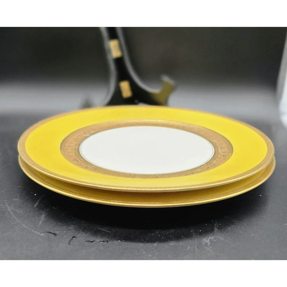 Set/2 Rosenthal Ivory Porcelain Dinner Plates Yellow 10.25